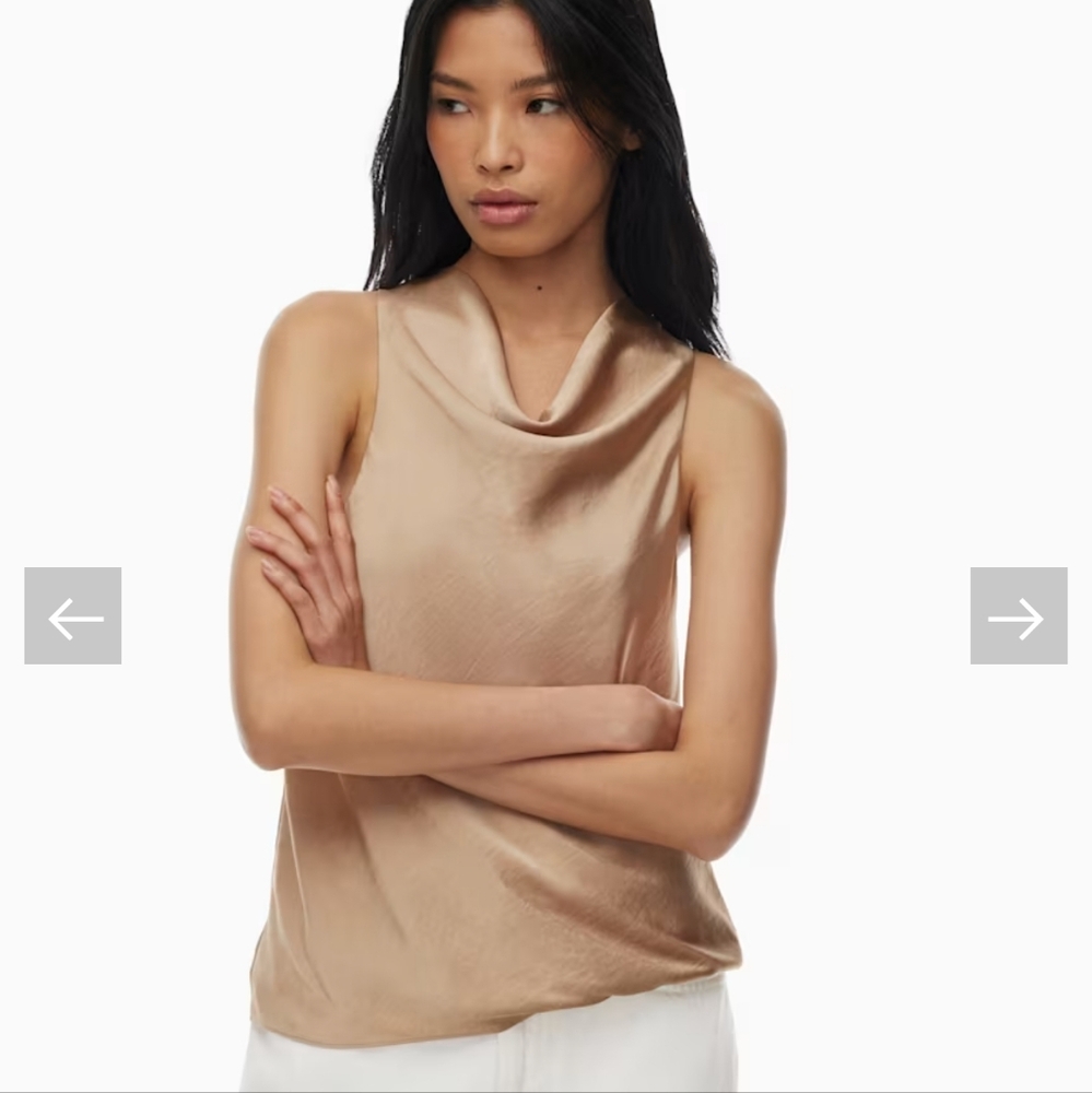 NWOT Wilfred Crowd Satin Blouse